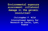 Environmental exposure assessment: collateral damage in the genomic revolution? Christopher P. Wild International Agency for Research on Cancer, Lyon,