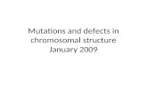 Mutations and defects in chromosomal structure January 2009.