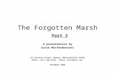 The Forgotten Marsh Part 3 a presentation by Guive Mirfendereski 24 Carleton Street, Newton, Massachusetts 02458 Phone: (617) 964-5252. Email: Guive@aol.com.
