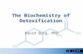 ACAM 6/10/2014 David Quig, PhD The Biochemistry of Detoxification 1.