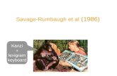 Savage-Rumbaugh et al (1986) Spontaneous symbol acquisition and communicative use by pygmy chimpanzees Kanzi + lexigram keyboard.
