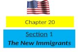 Chapter 20 SectionSection 1 The New Immigrants. emigrate When people leave their homes… immigrate – When people come into a country.