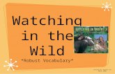 Watching in the Wild *Robust Vocabulary* Created By: Agatha Lee March 2009.