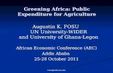 Greening Africa: Public Expenditure for Agriculture Augustin K. FOSU UN University-WIDER and University of Ghana-Legon African Economic Conference (AEC)