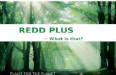 REDD PLUS -- What is that?. 1. REDD PLUS – in brief Background: Deforestation has become a problem that the world cannot ignore.  Deforestation results.