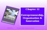 CHAPTER 12©E.Wayne Nafziger Development Economics 1 Chapter 12 Entrepreneurship, Organization & Innovation.