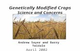 Andrew Sayer and Barry Twidale April 2002 Genetically Modified Crops Science and Concerns.