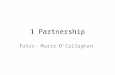 1 Partnership Tutor: Marie O’Callaghan. Sole Trader Unlimited Liability Partnership Company Limited Liability.