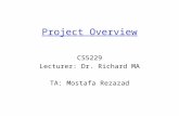 Project Overview CS5229 Lecturer: Dr. Richard MA TA: Mostafa Rezazad.