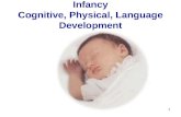 1 Infancy Cognitive, Physical, Language Development.