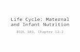 Life Cycle: Maternal and Infant Nutrition BIOL 103, Chapter 12-2.