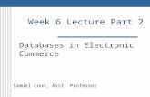 Week 6 Lecture Part 2 Databases in Electronic Commerce Samuel Conn, Asst. Professor.