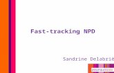 Sandrine Delabrière Fast-tracking NPD. My challenge.