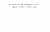 Evolution at Multiple Loci: Quantitative Genetics.