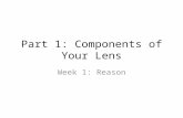 Part 1: Components of Your Lens Week 1: Reason. Reason life experience traditions scripture.