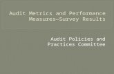 Audit Policies and Practices Committee.  Identify and compile internal and external metrics and performance measures used in the Federal audit community.