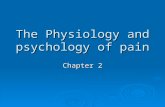 The Physiology and psychology of pain Chapter 2. Pain  Of all the components of the injury response, none is less consistent or less understood than.