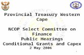 1 Provincial Treasury Western Cape NCOP Select Committee on Finance Public Hearings Conditional Grants and Capex 2 May 2006.
