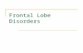 Frontal Lobe Disorders. Functional Areas Right frontal lobe: Five functional areas Left frontal lobe: Six functional areas - motor area - supplementary.