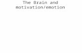The Brain and motivation/emotion. Dual Process Theory and the Brain What evidence exists that supports this theory? The Temporal Lobes and emotionality.