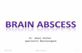 Dr. Amanj Burhan specialist Neurosurgeon 5/8/20151Brain Abscess.