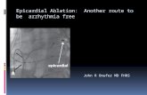 Epicardial Ablation: Another route to be arrhythmia free John R Onufer MD FHRS.