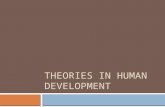 THEORIES IN HUMAN DEVELOPMENT. Theories… what are they good for?  Understanding  Generalization  A basis for decision making  Predicting future events.