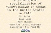 Physiological specialization of Puccinia triticina on wheat in the United States in 2010. Jim Kolmer Dave Long Mark Hughes USDA-ARS Cereal Disease Laboratory.