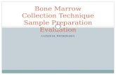 CLINICAL PATHOLOGY Bone Marrow Collection Technique Sample Preparation Evaluation.