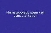 Hematopoietic stem cell transplantation. HSCT - definition Definition Definition any procedure where hematopoietic stem cells of any donor and any source.