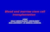Blood and marrow stem cell transplantation A.Basi ADULT HEMATOLOGIST,ONCOLOGIST IRAN UNIVERSITY OF MEDICAL SCIENCES.