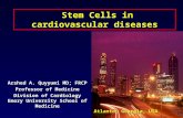 Stem Cells in cardiovascular diseases Arshed A. Quyyumi MD; FRCP Professor of Medicine Division of Cardiology Emory University School of Medicine Atlanta,