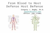 From Blood to Host Defense Host Defense Gregory J. Bagby, Ph.D. gbagby@lsuhsc.edu Office: 310 (CSRB)