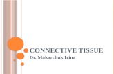 C ONNECTIVE TISSUE Dr. Makarchuk Irina. C ONNECTIVE TISSUE COMPRISES A DIVERSE GROUP OF CELLS WITHIN A TISSUE - SPECIFIC EXTRACELLULAR MATRIX In general,