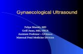 Gynaecological Ultrasound Felipe Moretti, MD Griff Jones, MD, FRCS Assistant Professor – UOttawa Maternal Fetal Medicine Division.
