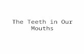 The Teeth in Our Mouths. In this lesson I will learn about My baby teeth and how they fall out and I get new bigger grown-up teeth that should last me.