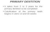 PRIMARY DENTITION It takes from 2 to 3 years for the primary dentition to be completed. Calcification of the primary teeth begins in utero 13 and 16 weeks.