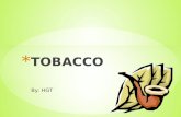 By: HGT. * Tobacco is a plant with leaves that are used to make smoking tobacco- used in cigarettes, cigars, and pipes, as well as chewing tobacco and.