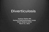 Diverticulosis Andreas Stefan MD Portland Gastroenterology Center Maine Medical Center March 21, 2015.