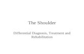 The Shoulder Differential Diagnosis, Treatment and Rehabilitation.