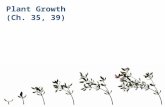 Plant Growth (Ch. 35, 39) Growth in Animals Animals grow throughout the whole organism – many regions & tissues at different rates.