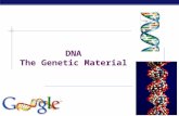 AP Biology 2006-2007 DNA The Genetic Material AP Biology History of Genetic Science  Create a time chart in your notebook- use the book to fill it in-20.