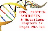 DNA, PROTEIN SYNTHESIS, & Mutations Chapters 12 Pages 287-308.