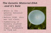 The Genetic Material-DNA - and it’s Role Where is the genetic material stored? Before 1930, this was not clear… Hammerling in Germany studied the small.