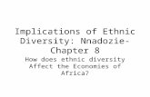Implications of Ethnic Diversity: Nnadozie-Chapter 8 How does ethnic diversity Affect the Economies of Africa?