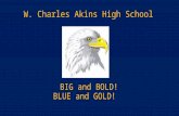 W. Charles Akins High School BIG and BOLD! BLUE and GOLD!