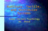 Auditory, Tactile, and Vestibular Systems Human Factors Psychology Dr. Steve