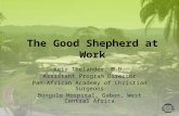 The Good Shepherd at Work Keir Thelander, M.D. Assistant Program Director Pan-African Academy of Christian Surgeons Bongolo Hospital, Gabon, West Central.