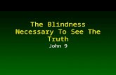 The Blindness Necessary To See The Truth John 9. 2 Blindness A Negative and Positive Quality In Searching For Truth Being blind in a spiritual sense is.