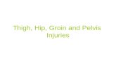 Thigh, Hip, Groin and Pelvis Injuries. Basic Anatomy.